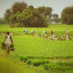 PM Kisan Samman Nidhi